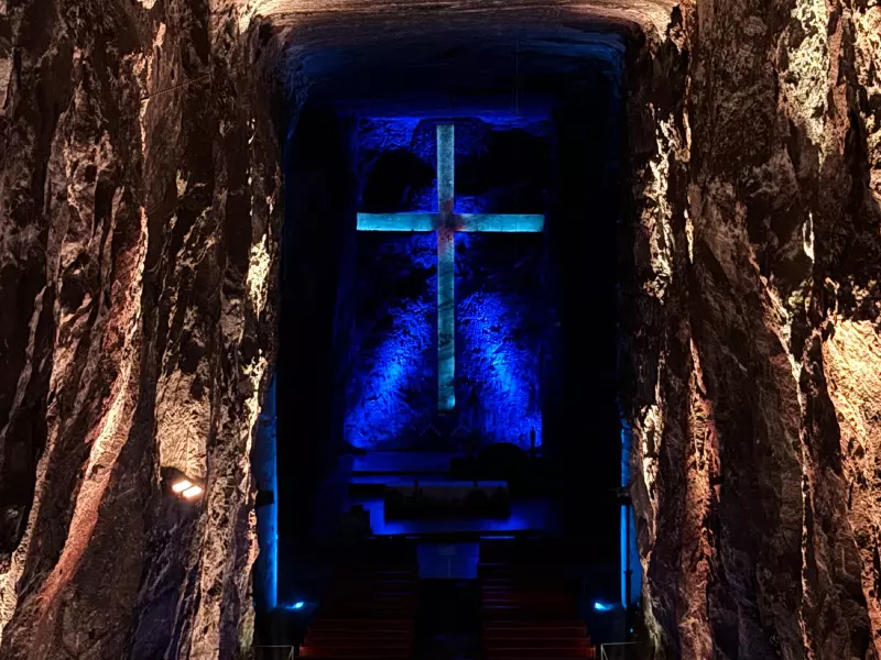 banner Nave of Life