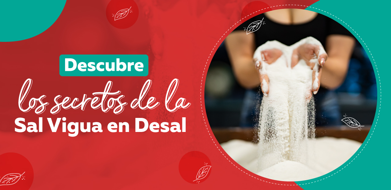 Descubre los secretos de la Sal Vigua en Desal