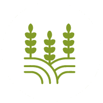 Icono fundacion de Zipaquira