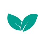 fanja iconos 9