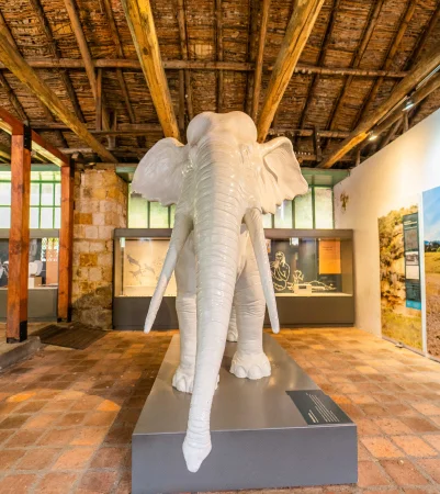 Museo de Historia Natural de la Sabana